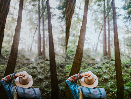 пресет dng | FreeLightroomPresets.com