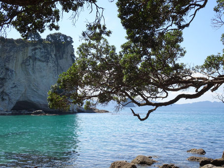 Cathedral Cove