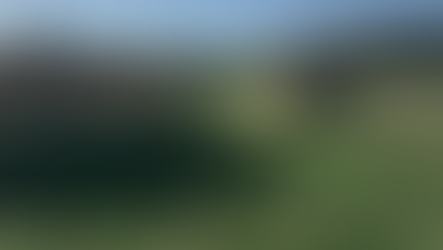 The Hawk that visited My Lesson Tee