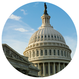 Dome of the U.S. Capital