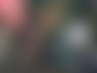 Na Primavera Literária 2019