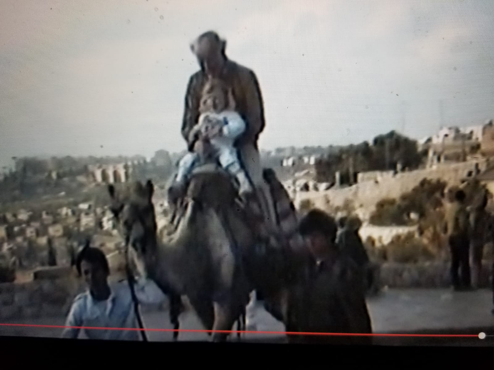 סבא על הגמל content media