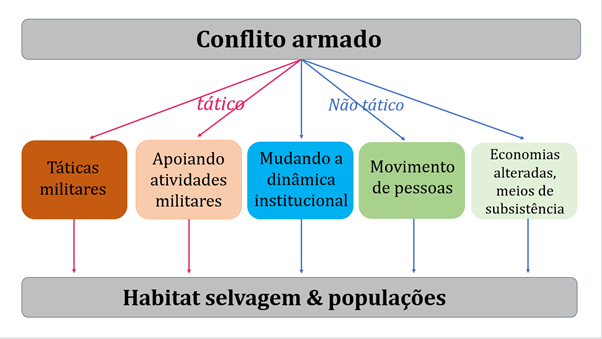 Conflitos e Animais: Como os confrontos armados impactam na vida selvagem? content media