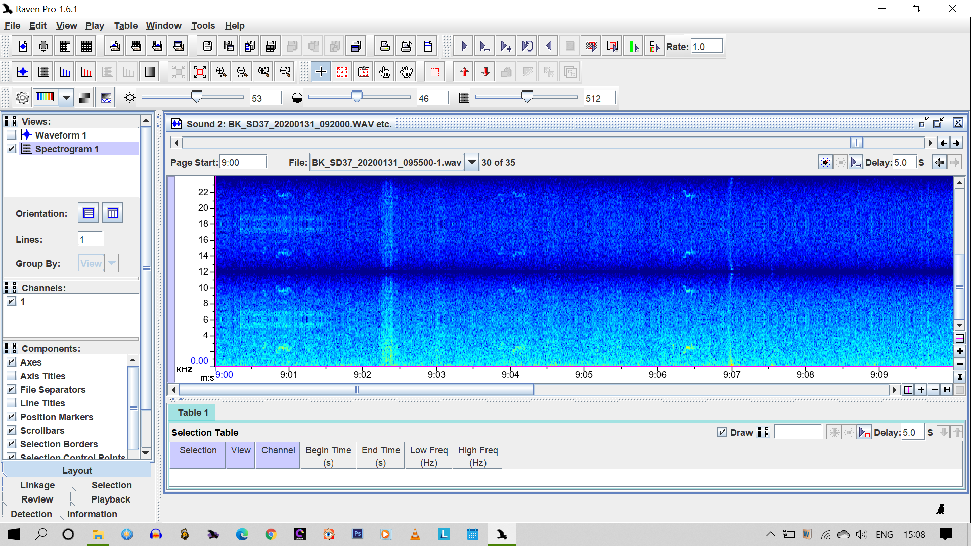 Spectrogram- mirror image of low frequencies at higher frequencies content media