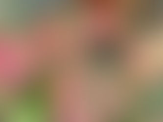 Week 45 - 2018