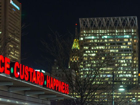 Another Day Another Photo - 15