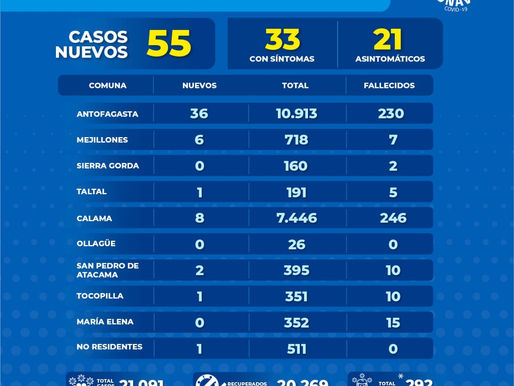 REPORTE DIARIO ENTREGADO POR GOBIERNO REGIONAL COVID-19