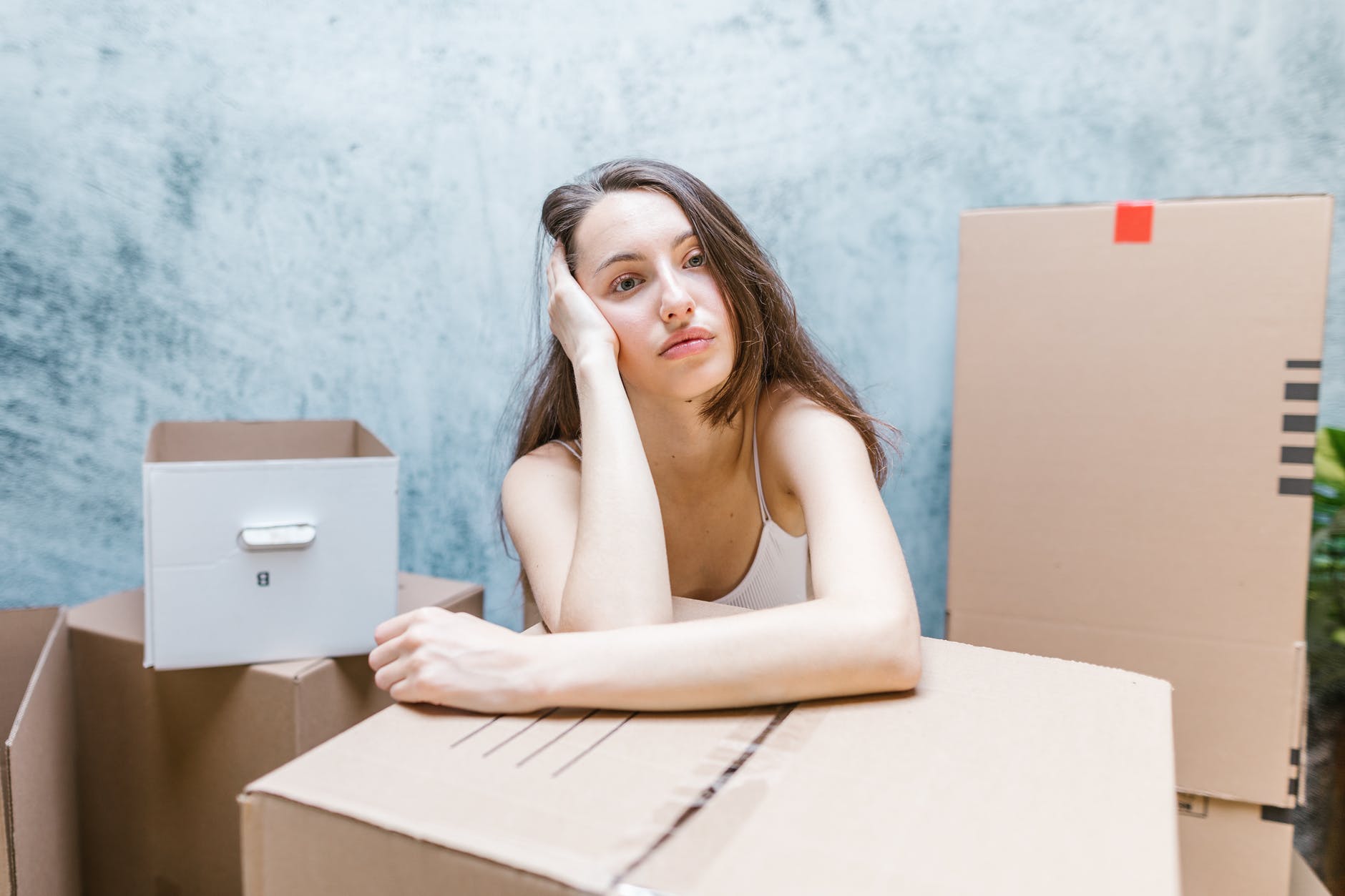 Professional Full Service Moving Company In Delhi content media