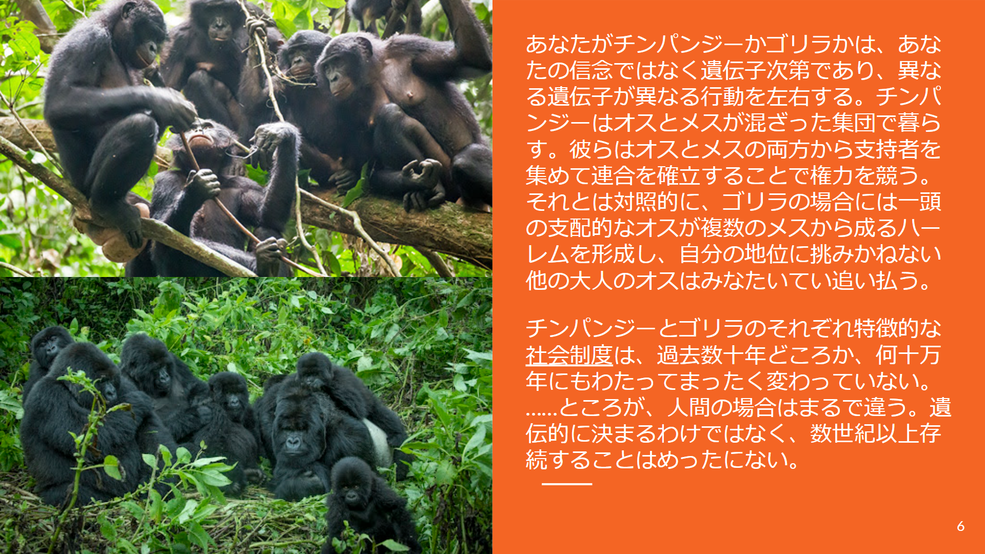 6 文明 Civlisation
──世界にはたった一つの文明しかない
There is just one civilisation in the world content media