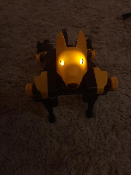 My Bittle has eyeballs! content media