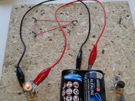 Birthday party with solar powered animals