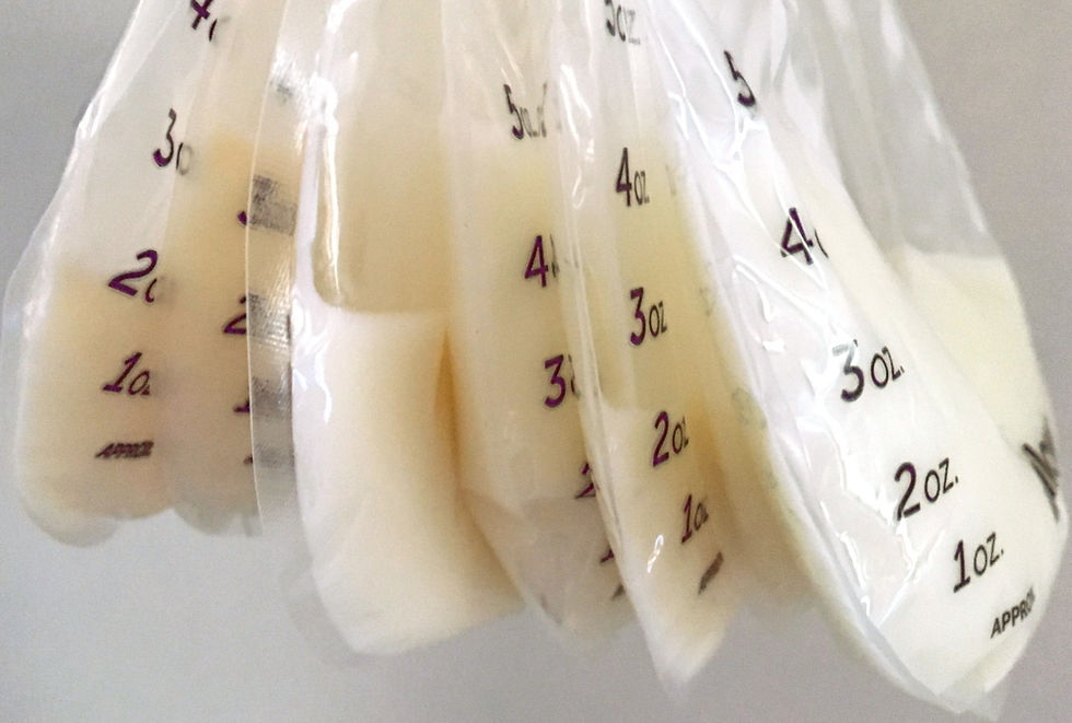 willow-milk-bags