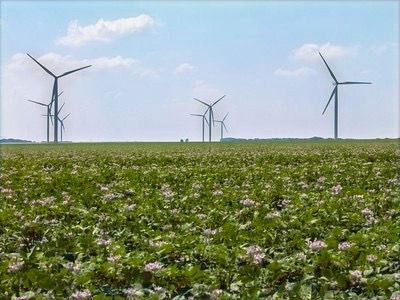 La promesse écologique : la politique du vent ou le mensonge de l’éolien