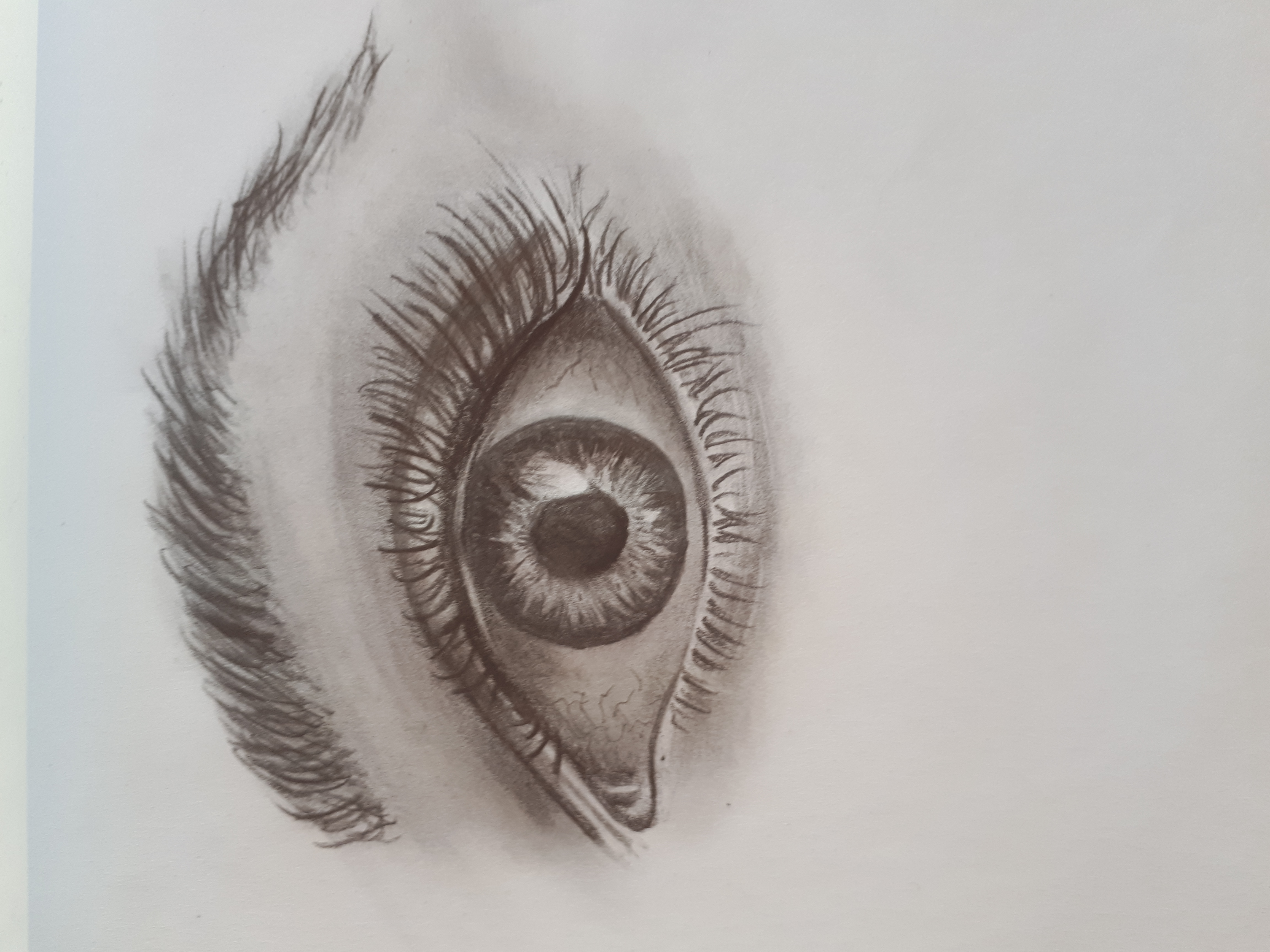 Mein Einstieg - Das Auge content media