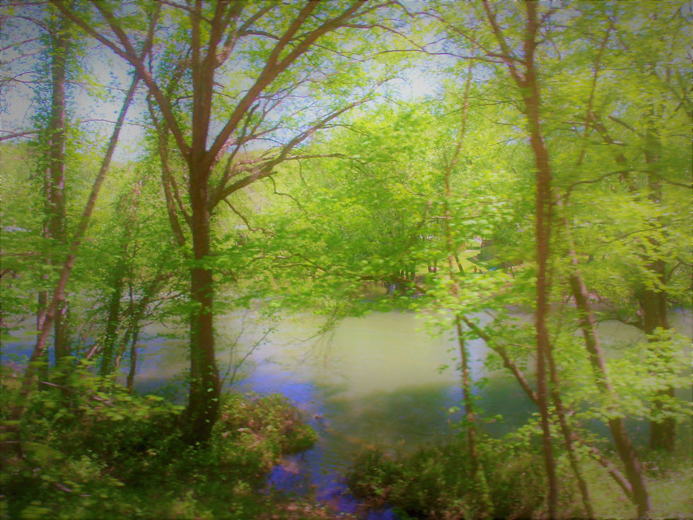 Blue Ridge Mountain Train Ride