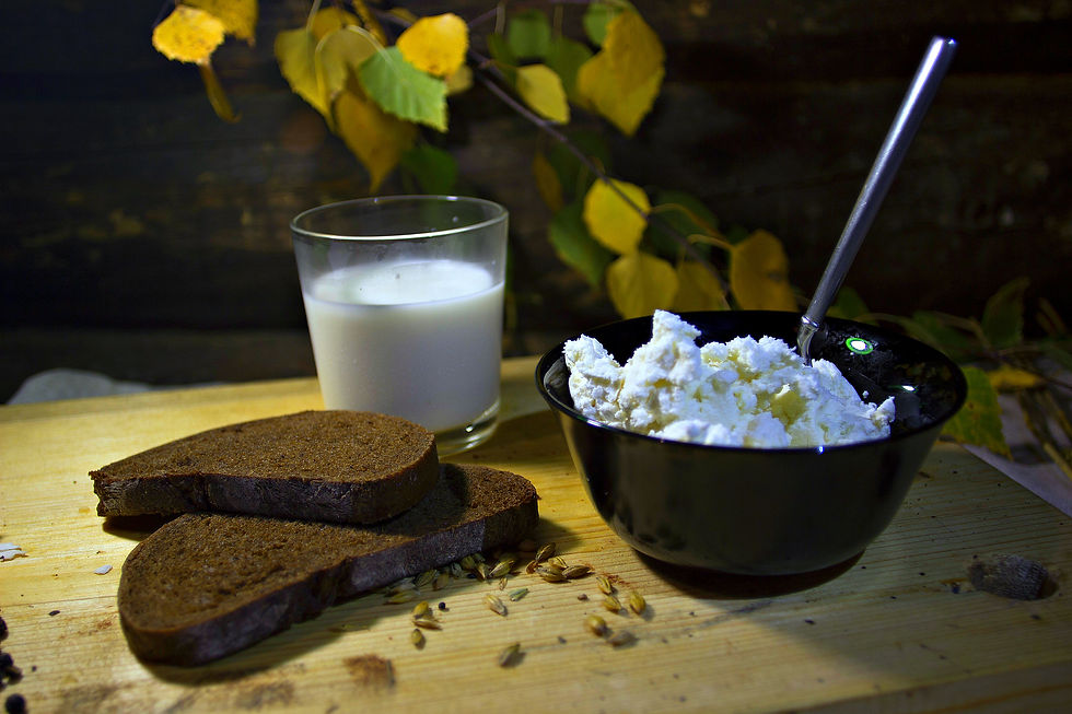 Продам сыр Рикотта из сыворотки козьего молока