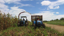 O campo moçambicano no século XXI: dilemas e perspectivas do campesinato frente ao agronegócio