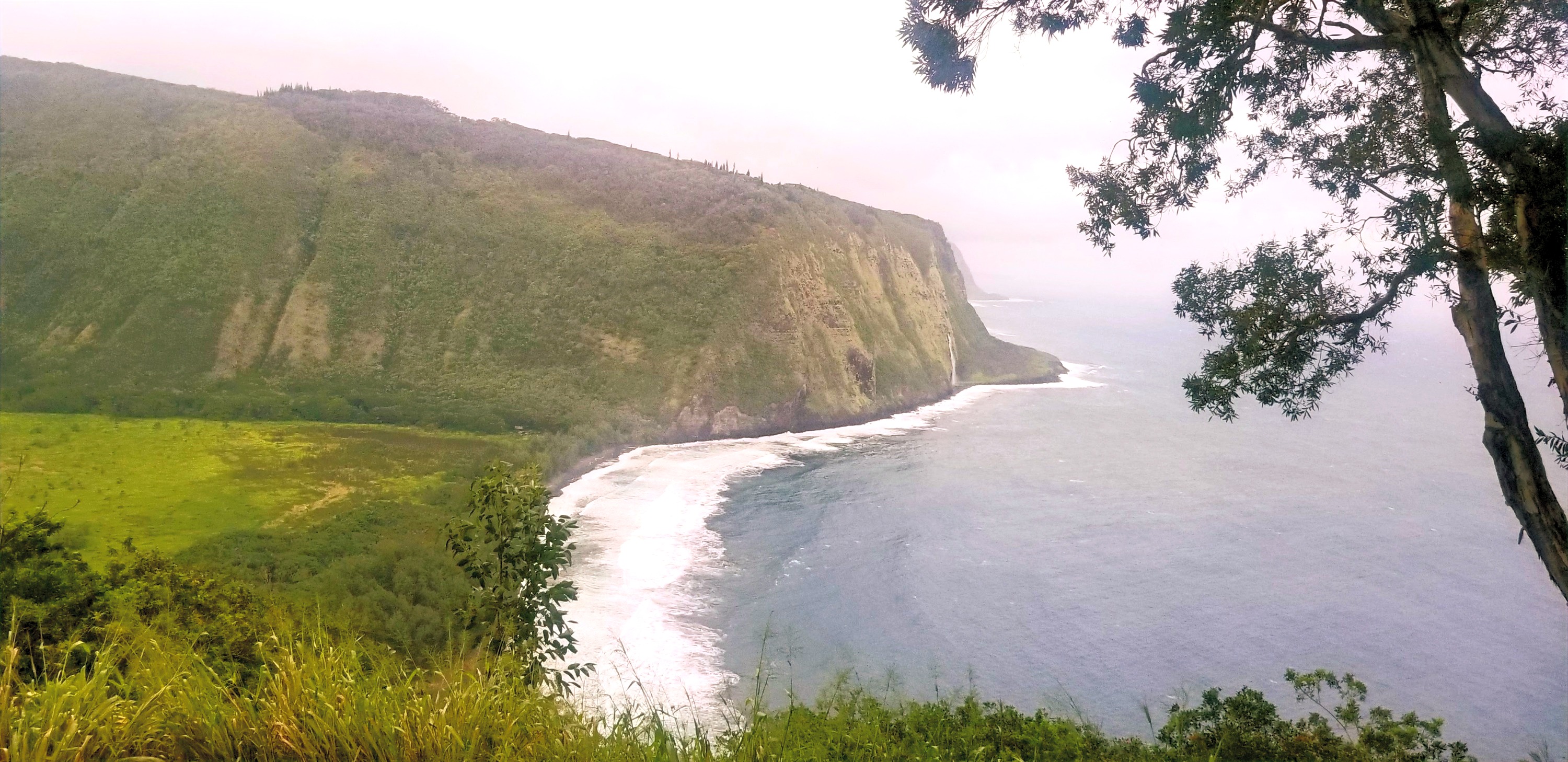 Waipio Lookout
