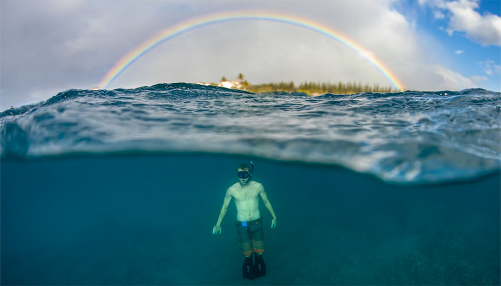 Underwater Photography Dive into The Ultimate Beginner's Guide