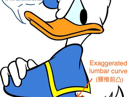 Understanding our Body - Posture 3/ 認識我們身體姿勢 3