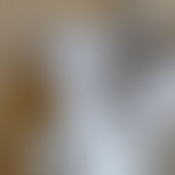 Camicia senza manica chiusa da un bottone dietro