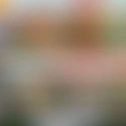 LOS PEORES DE LA LIGA SMARTBANK 