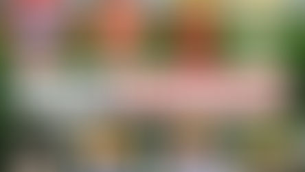 LOS PEORES DE LA LIGA SMARTBANK 