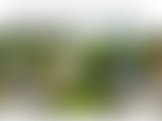 Making the Most of Our Pandemic Time