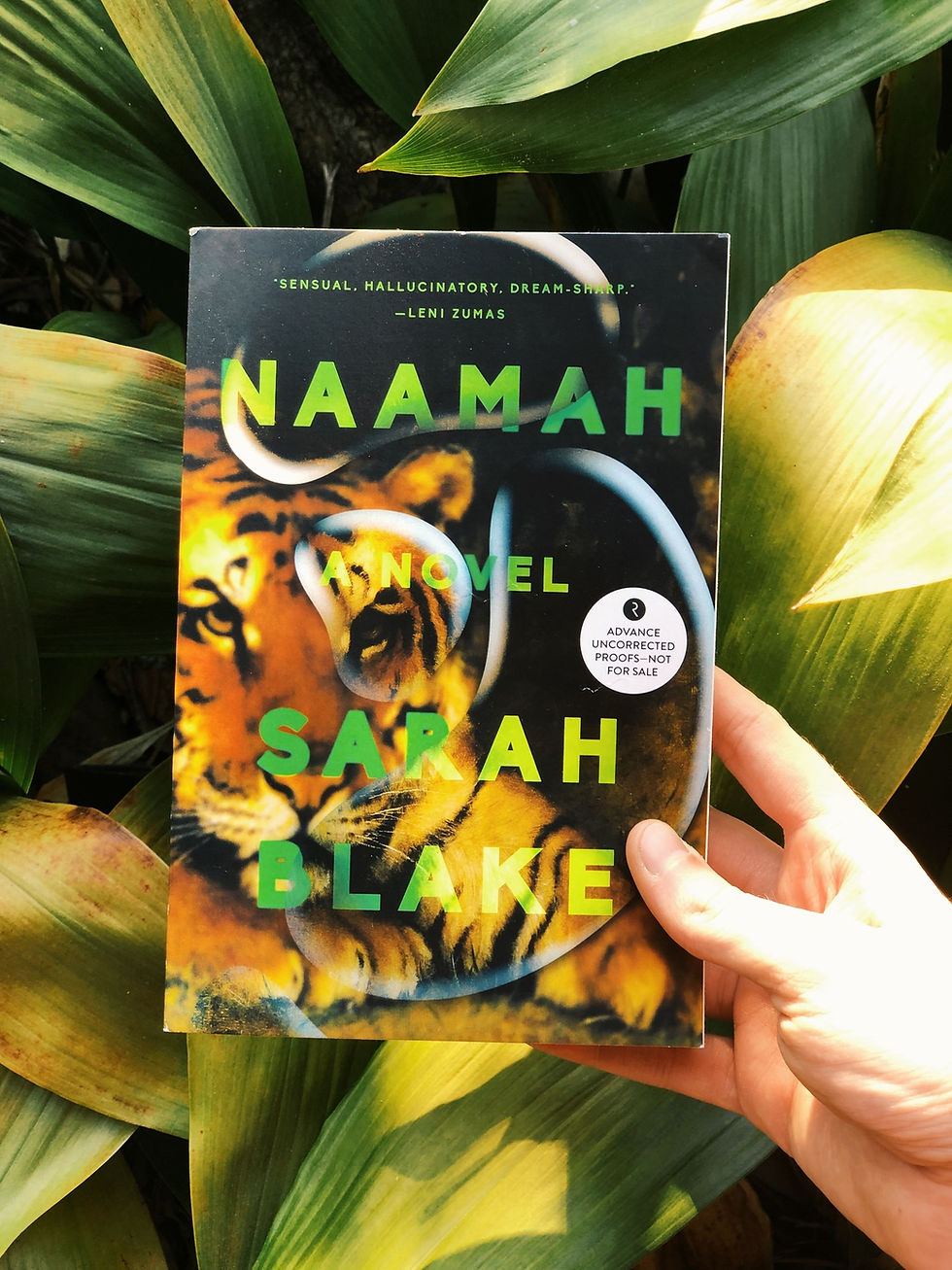 A hand holds up the book Naamah in front of a green-leafed plant