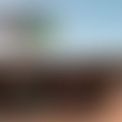 Pájaros de Verano, preseleccionada en los Premios Óscar