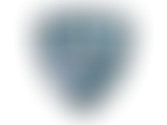 Welcoming our Blue Ridge Service Corps Members