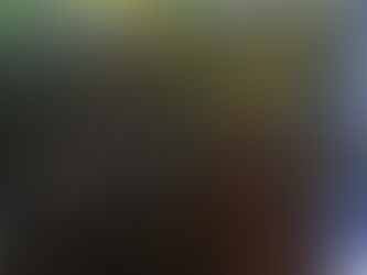 今年も魔除けの南天の木が赤い実をつけました。