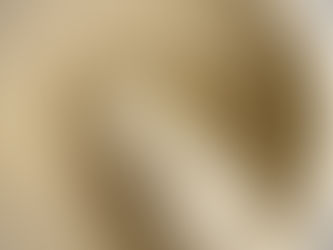 Fragrant Cardamom Cupcakes