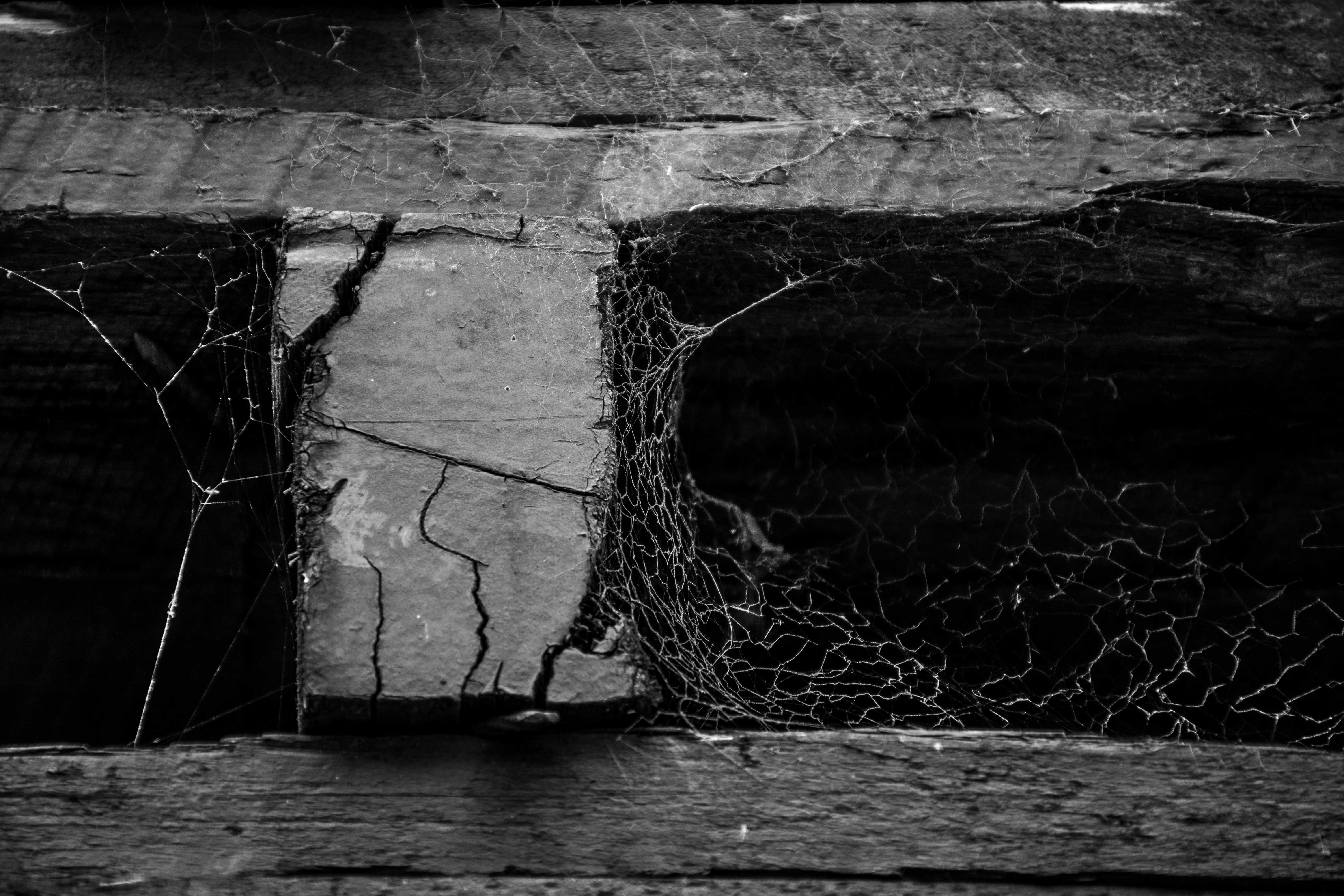 I can't get my pallets back! content media