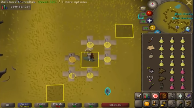 Fastest Hunter XP in OSRS (ft. Thurco)