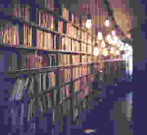 libros, lectura, pasado, memoria, sé el jefe, hectorrc.com