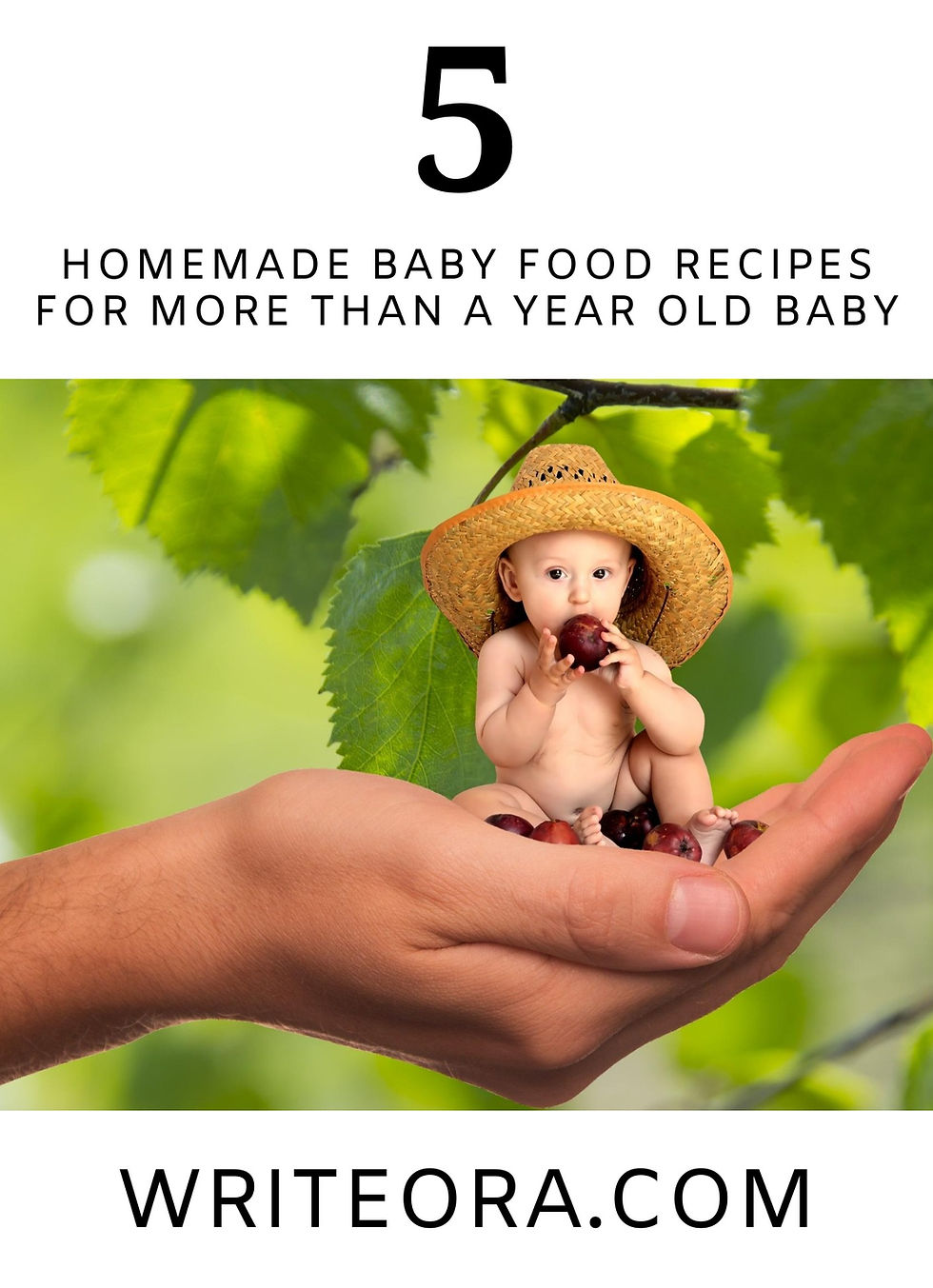 HOMEMADE BABY FOOD RECIPES FOR MORE THAN A YEAR OLD BABY