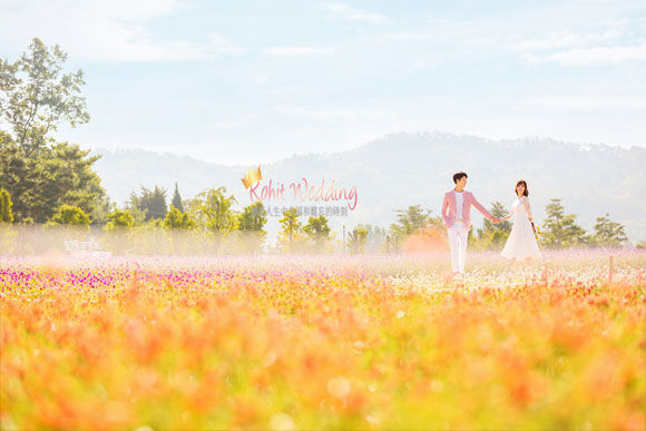 一起迎接春天的到来