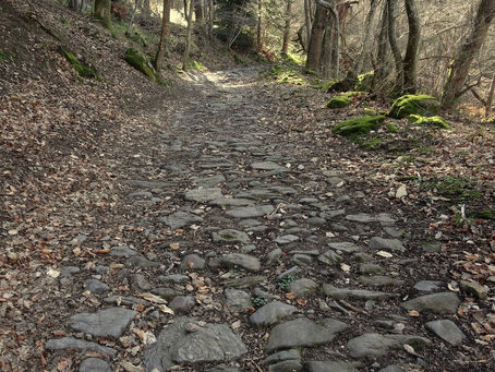 sortie du dimanche groupe rando "foncier"