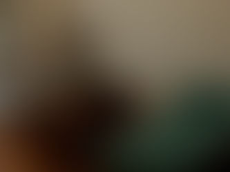 ホームページを公開しました