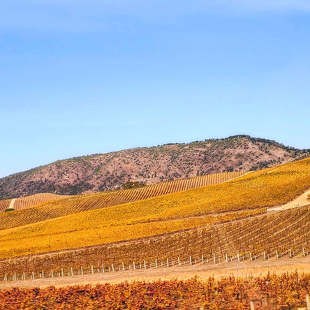Our Adventures in Wine Country