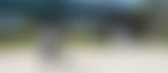 正式メンバー5名+新規の体験2名で練習