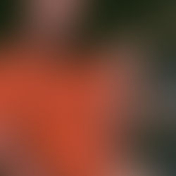 Managing Major Burnout