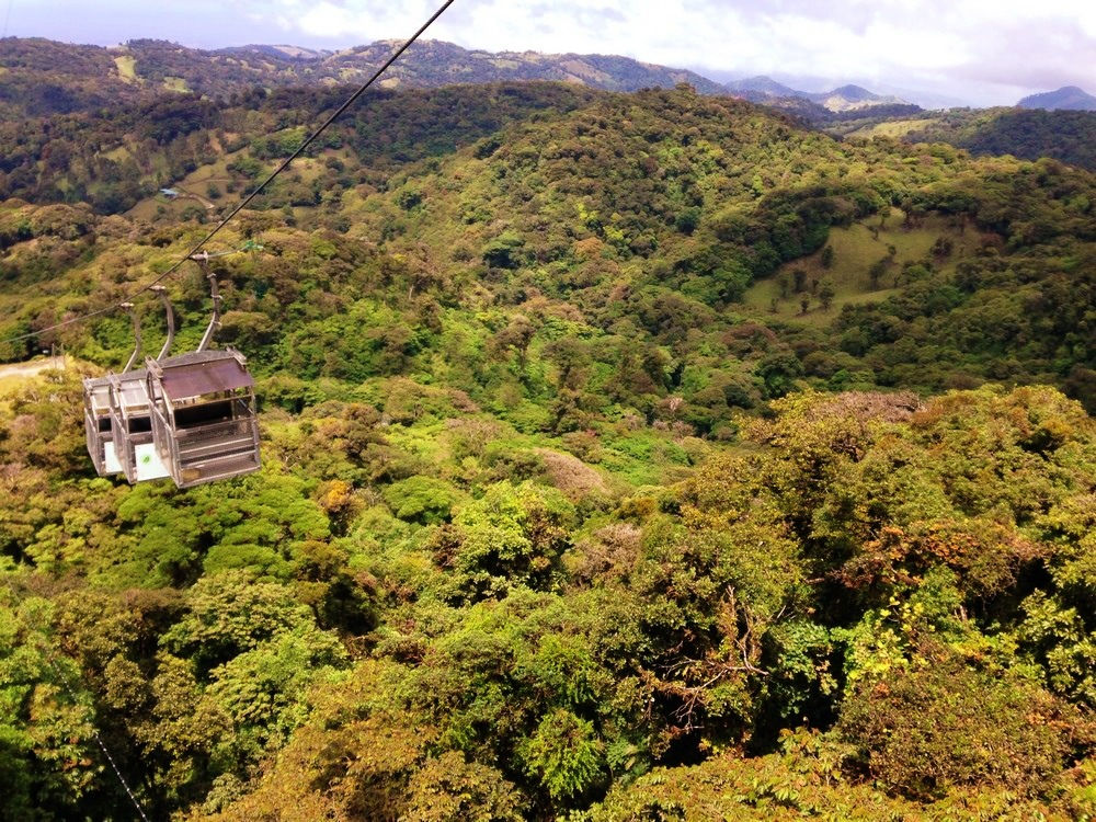 La canopée de la forêt de nuages, Monte Verde au Costa Rica