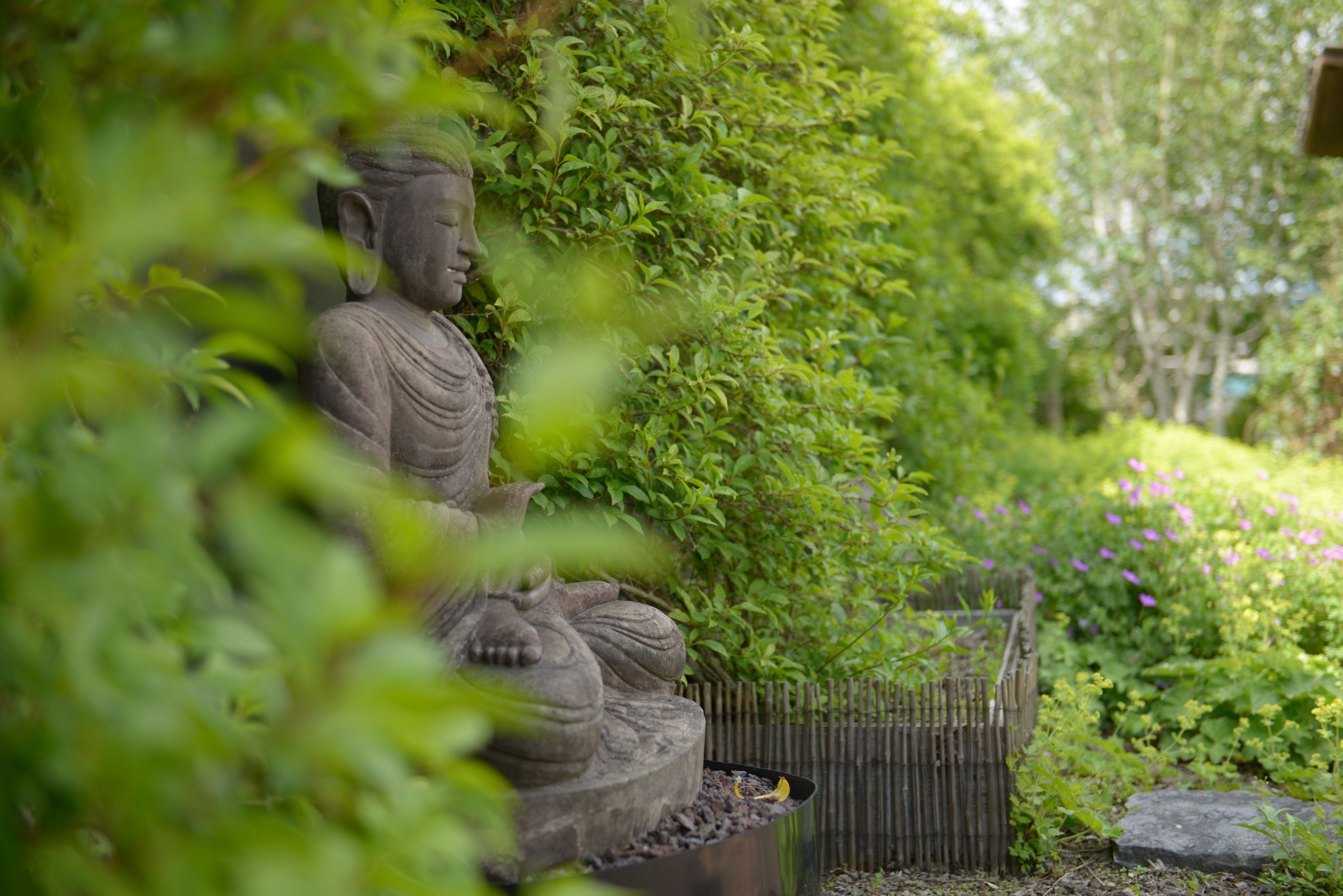 The sculpture of Buddha hidden among golden green trees and foliage. It evokes a state of peace and serenity.