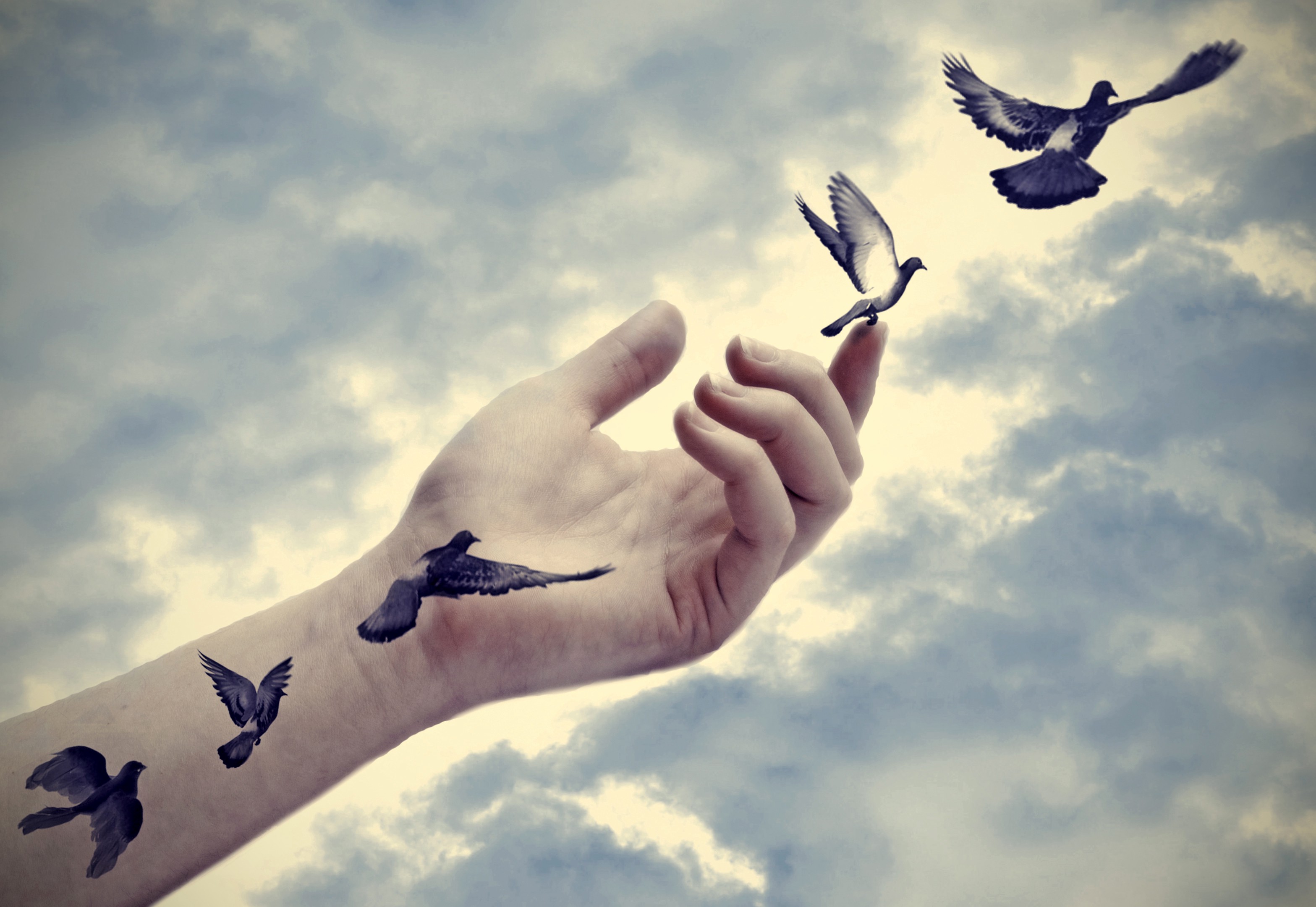 Letting Go of What No Longer Serves You content media