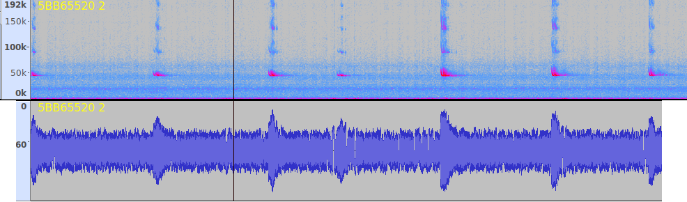 Sound transmission with and without cases + comparison with SM2Bat+ content media