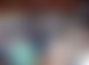 Executivo arrecada mais de R$ 75,9 mil com leilão