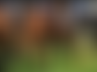 Easy Way to Place Bets with Predictions
