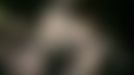 Story 3: Redaction Fatigue